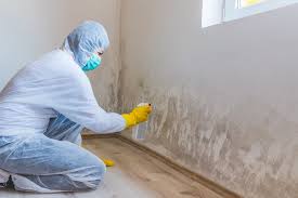 Best Mold Removal for HVAC Installations in Spencer, IN