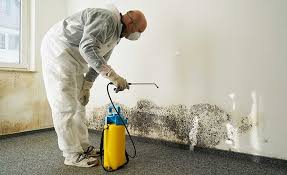 Best Biohazard Mold Removal in Spencer, IN