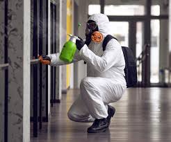  Spencer, IN Mold Removal Pros